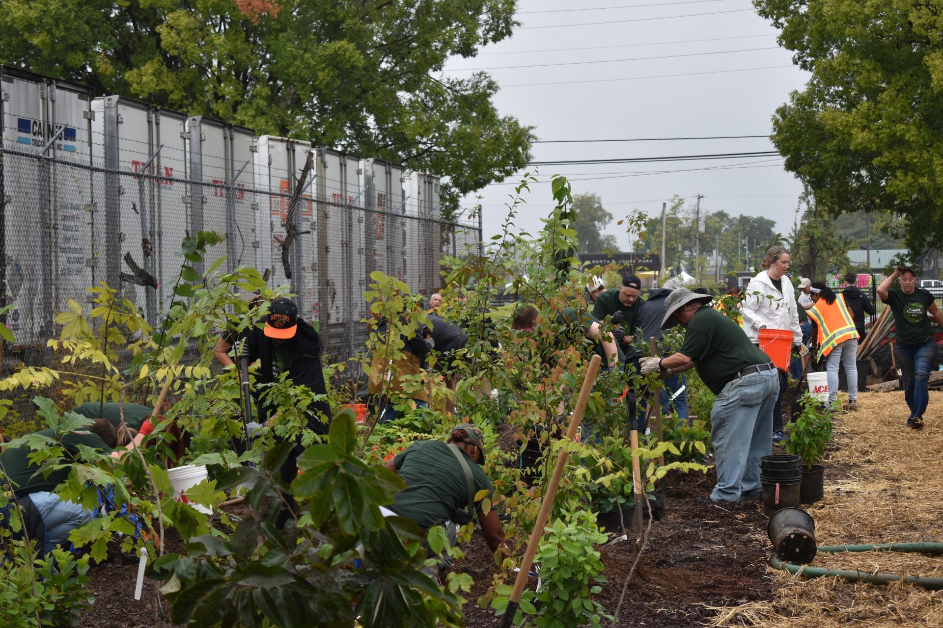 Louisville Grows at work