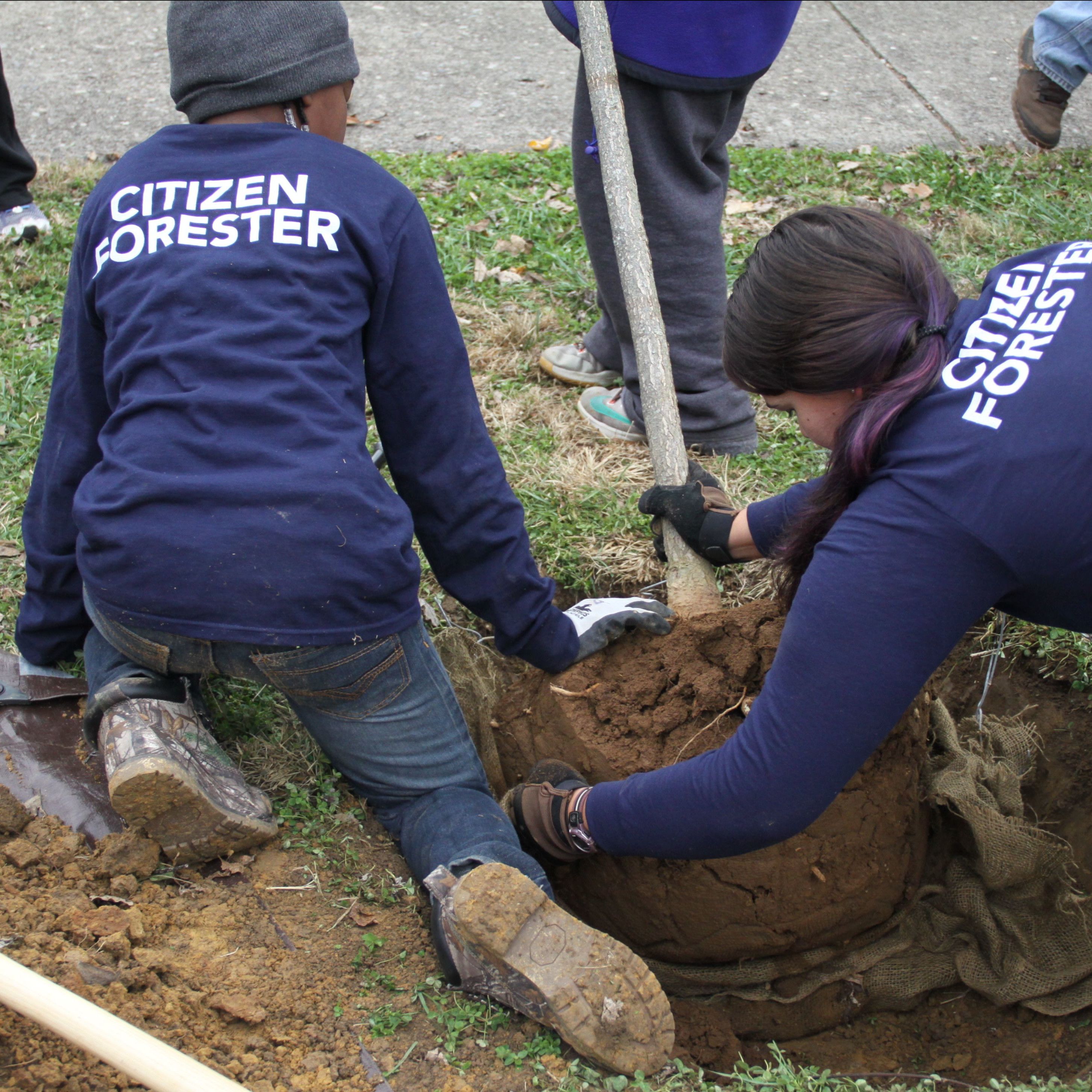 Citizen Foresters planting tree