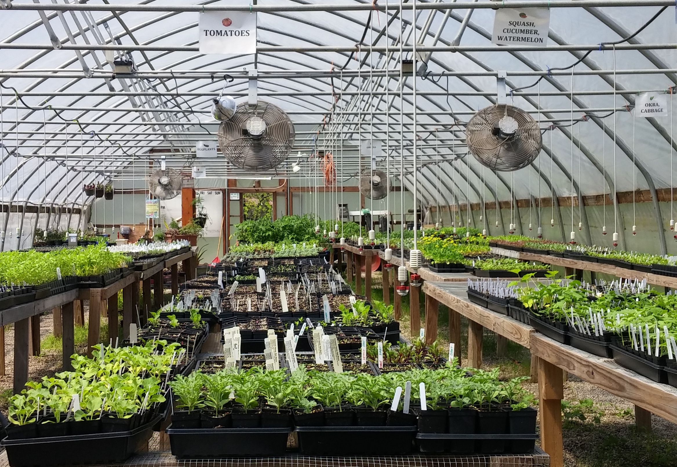Garden center